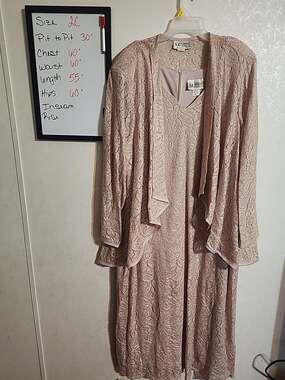 S.L Fashions Women's Vintage Full Length Dress Blush Embroidered Lined Back Zip